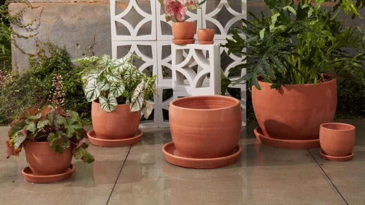 Pots & Planters