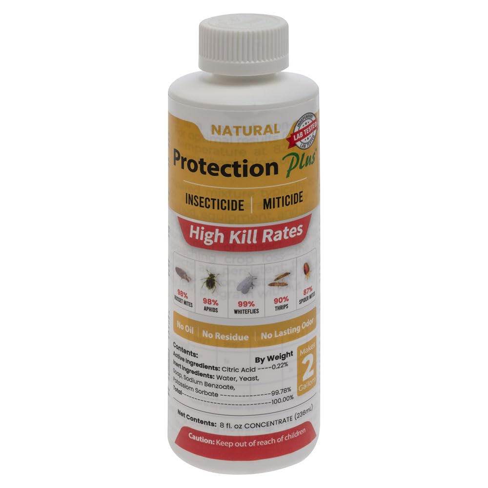 Protection Plus