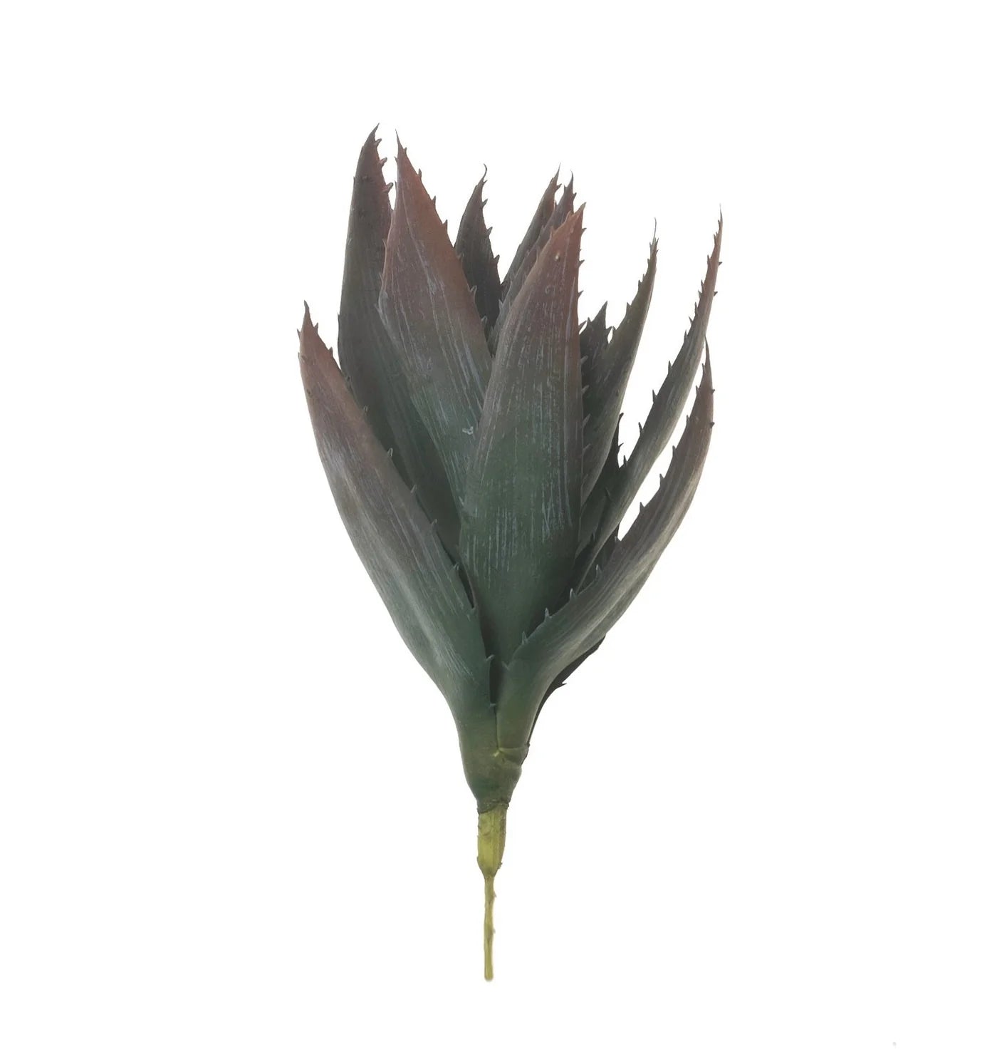 Faux Aloe Stem