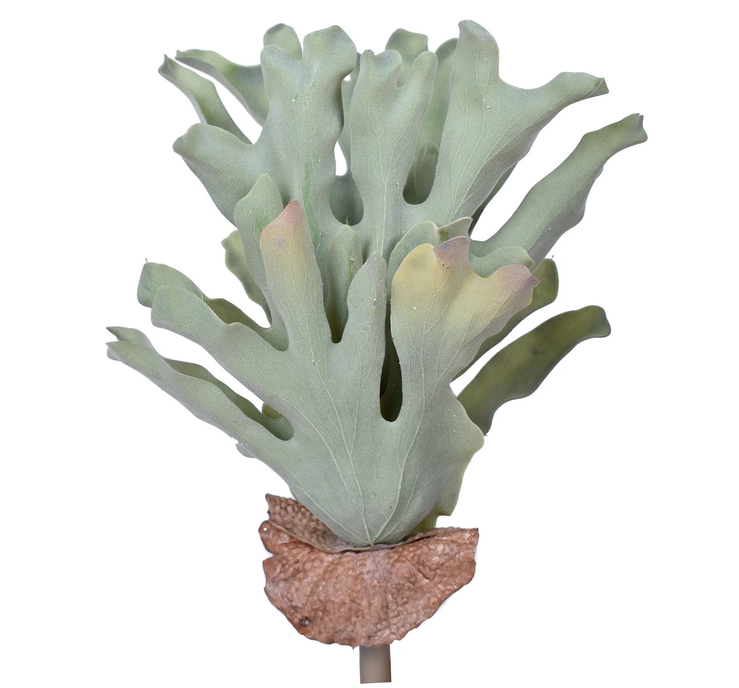 Faux Flocked Staghorn Fern Stem