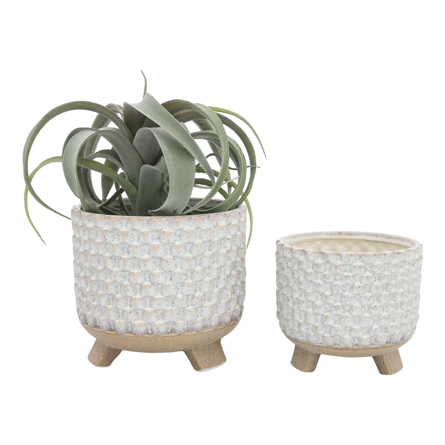 Celine Pot