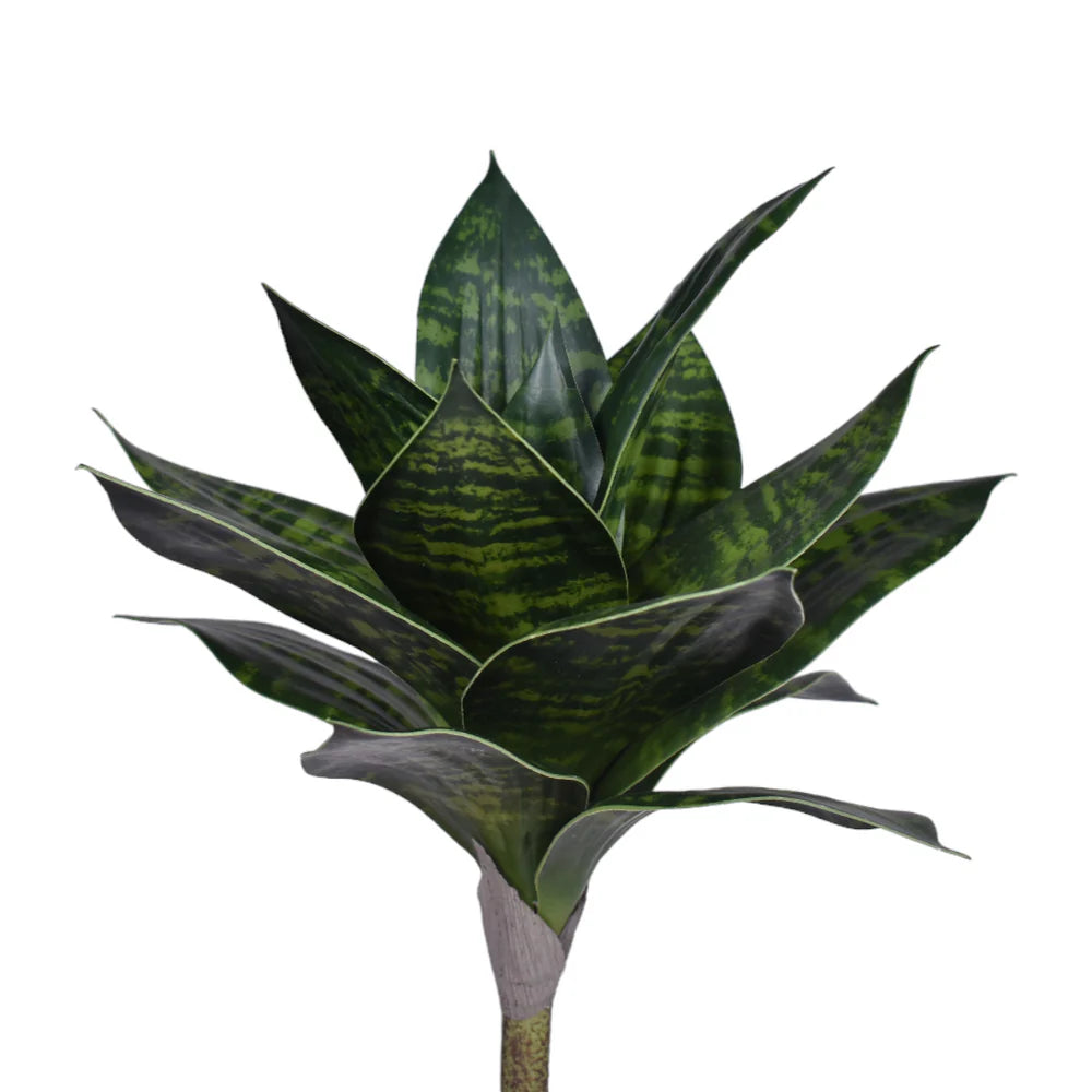 Faux Sansevieria Stem