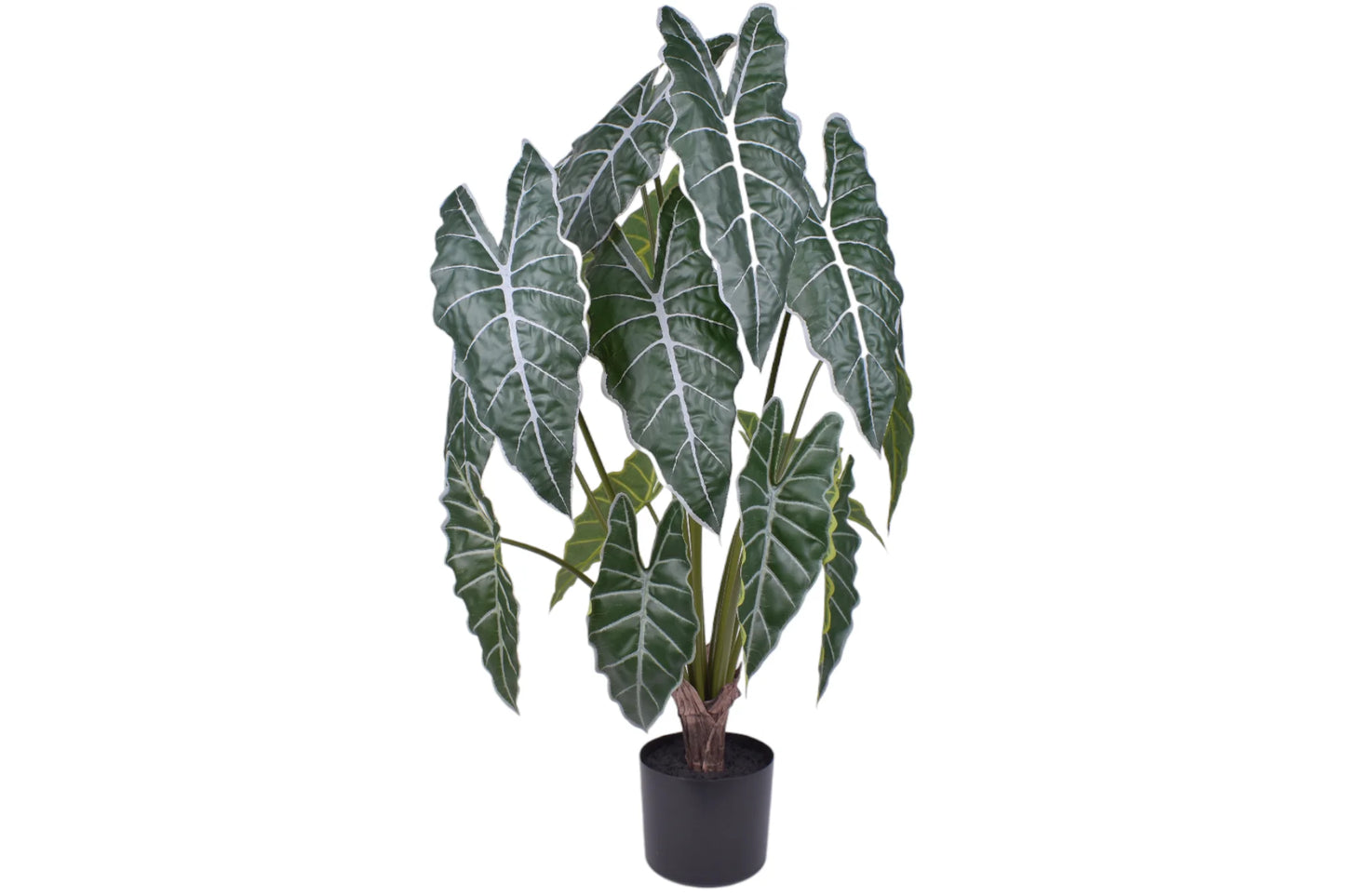Faux Alocasia