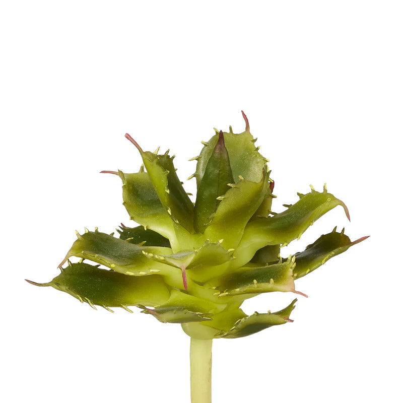 Faux Cactus Stem