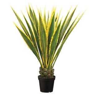 Faux Agave Stem