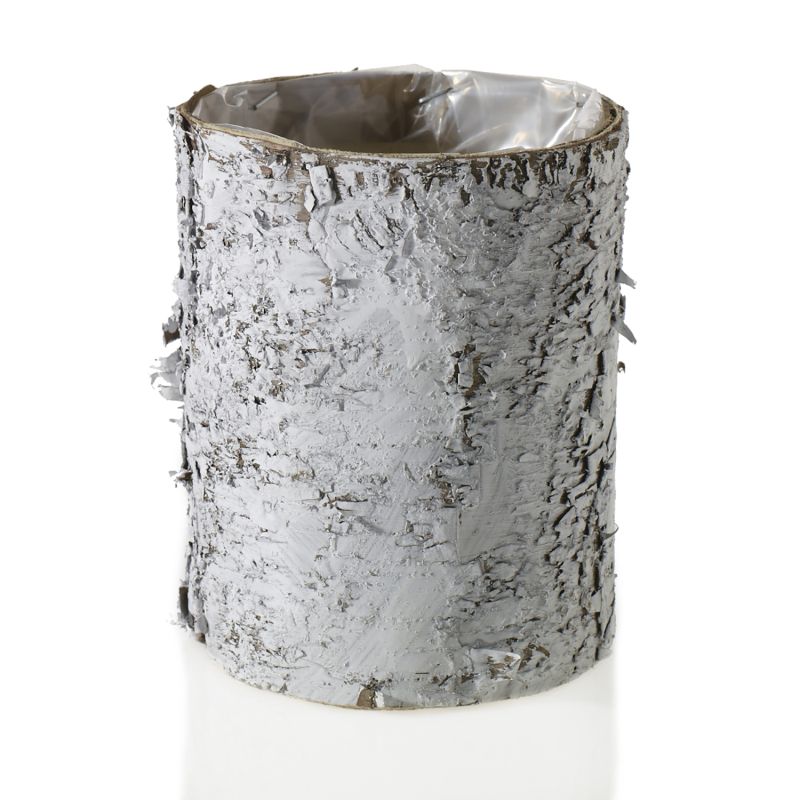 White Birch Pot