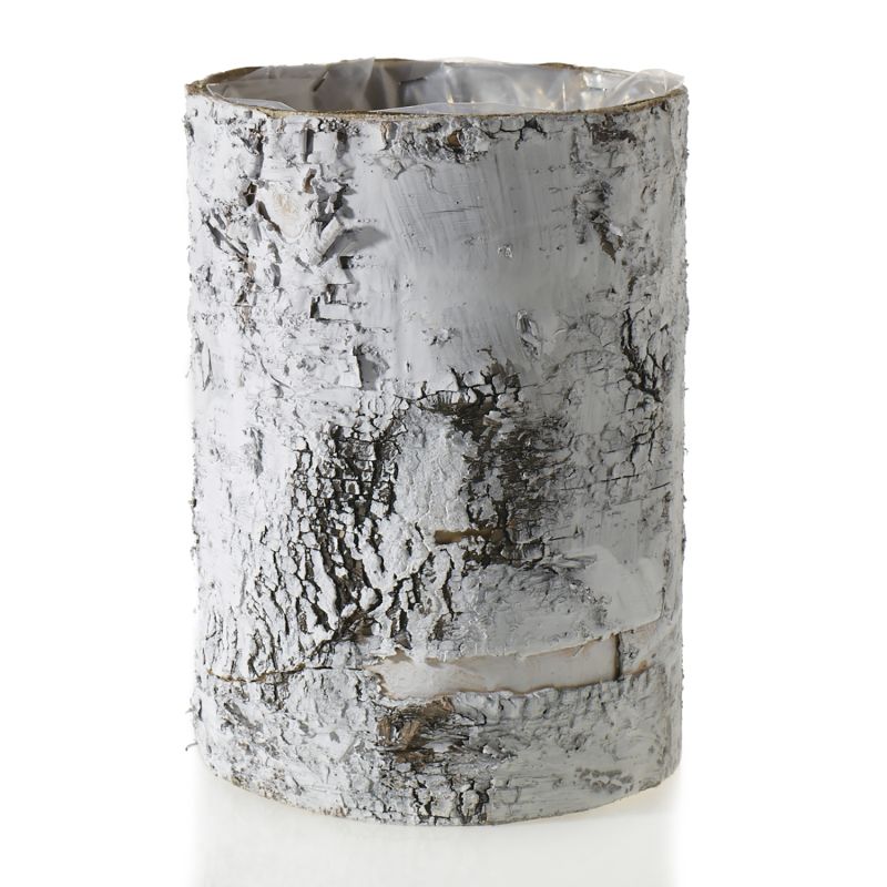 White Birch Pot