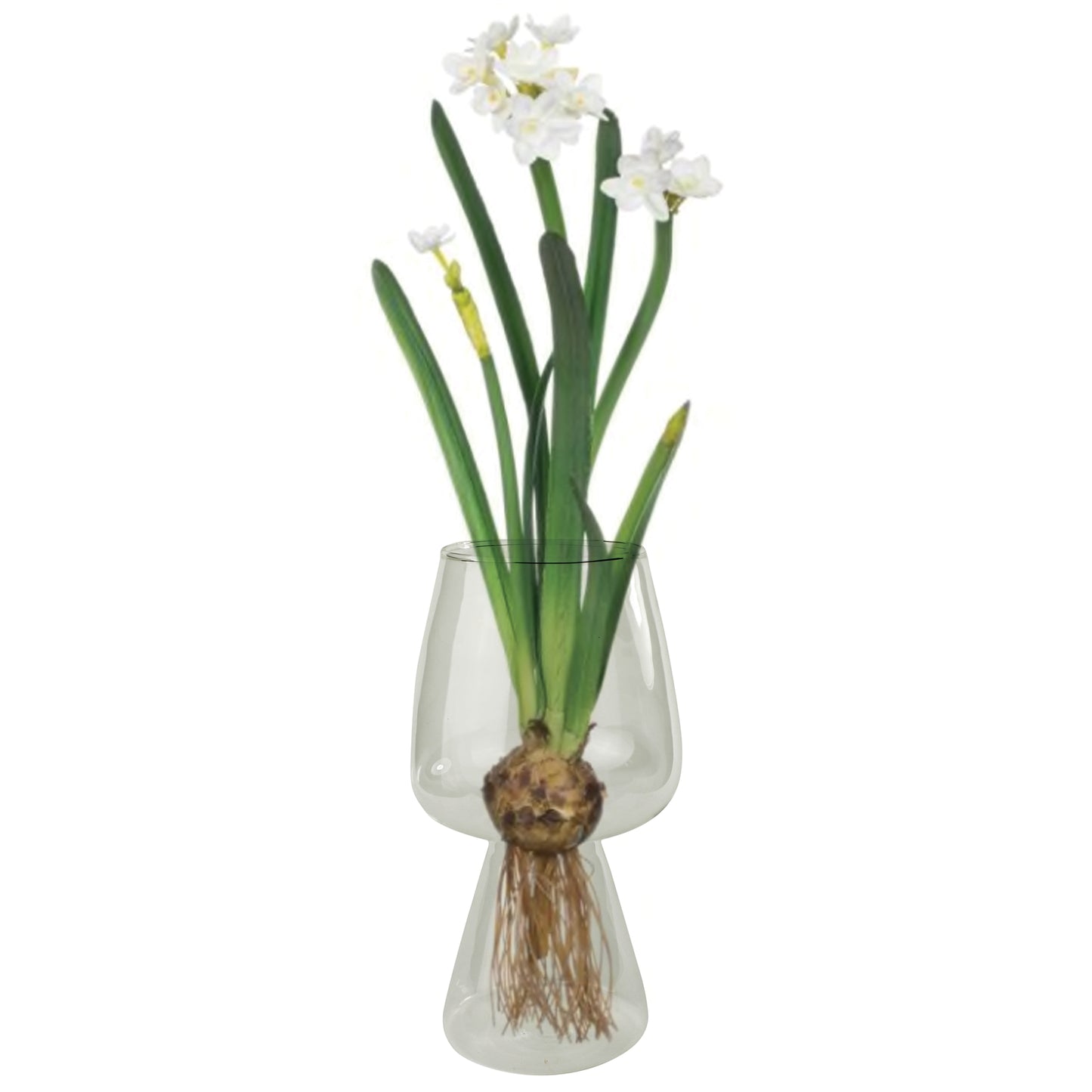 Bulb Vase
