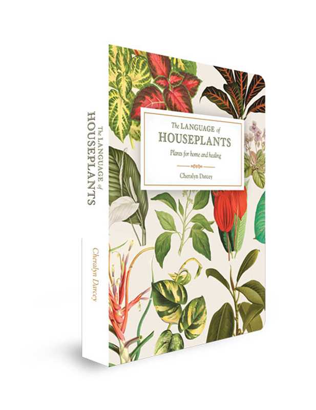 Language of Houseplants by Cheralyn Darcey
