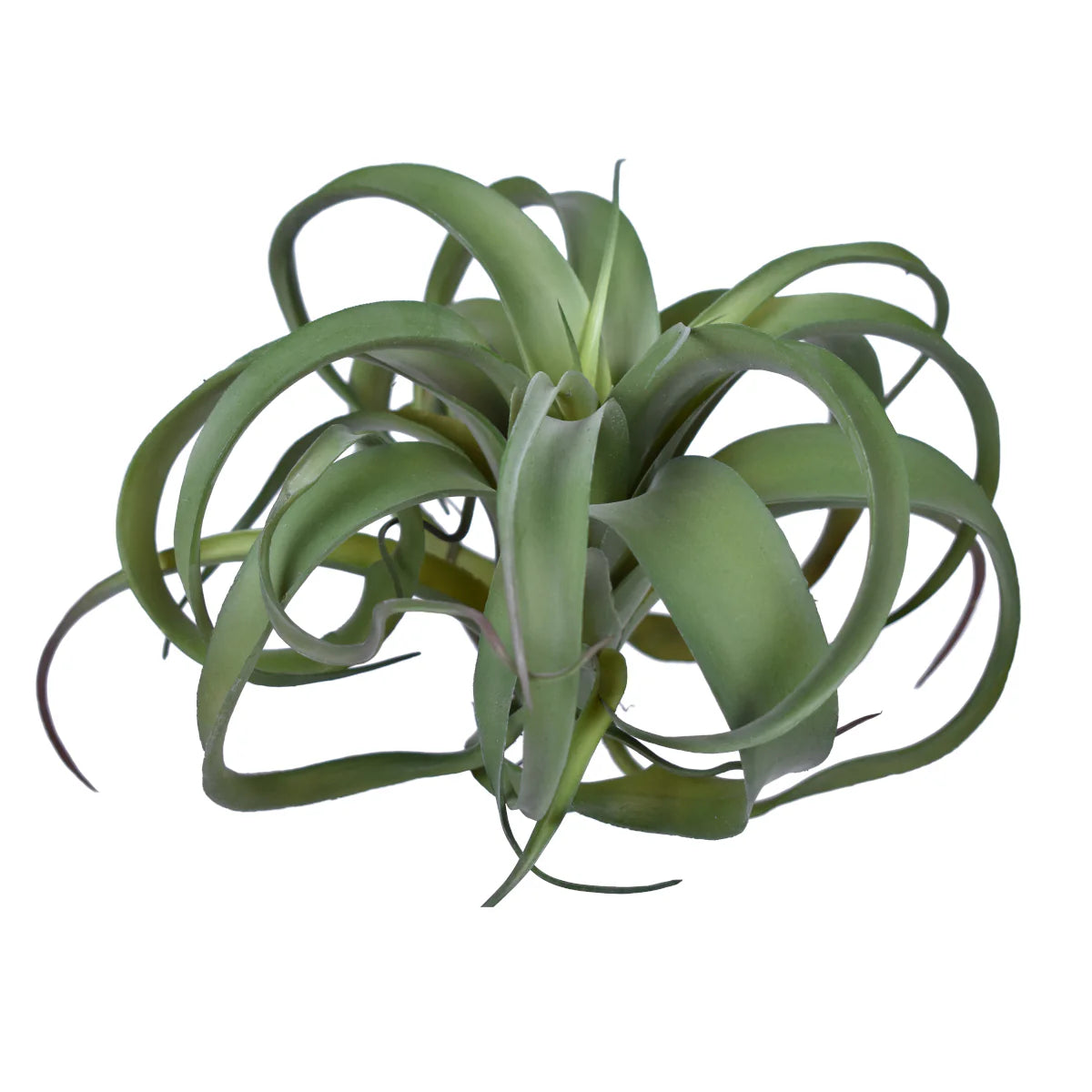 Faux Air Plant Stem