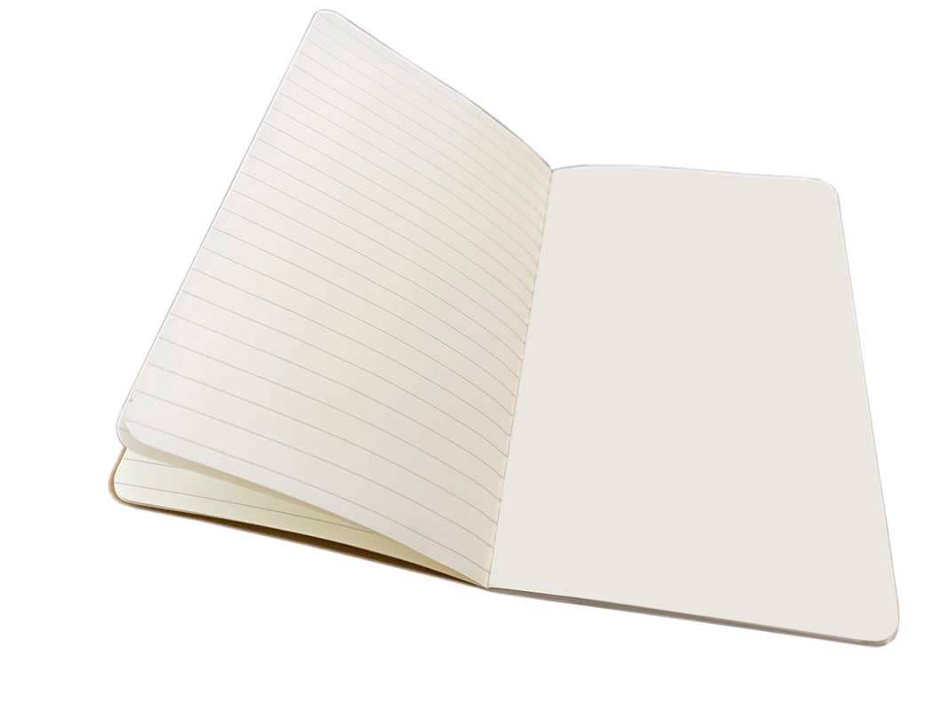 Angela Harding: Coastlines Set of 3 Mini Notebooks by