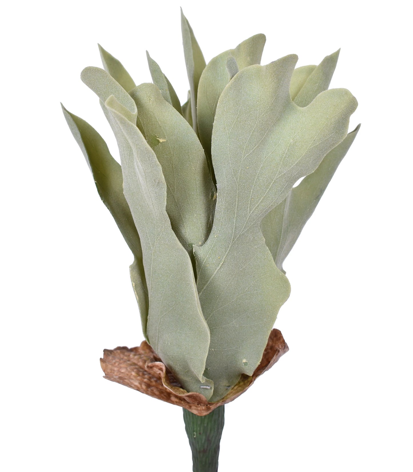 Faux Flocked Staghorn Fern Stem