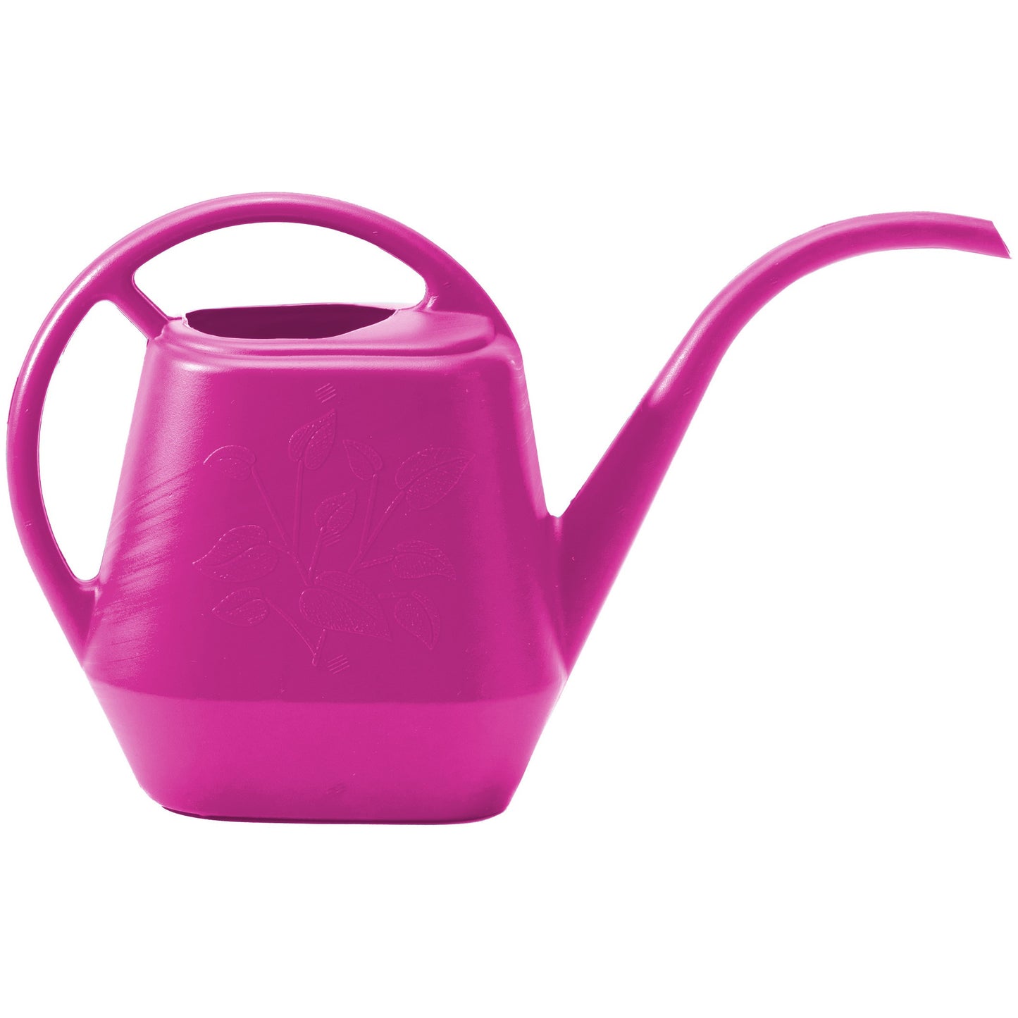Aquarite Watering Can