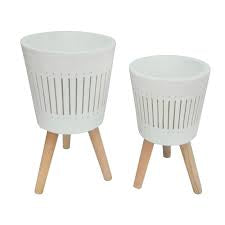 Carolina Planter