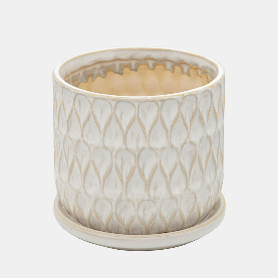Daphne Pot