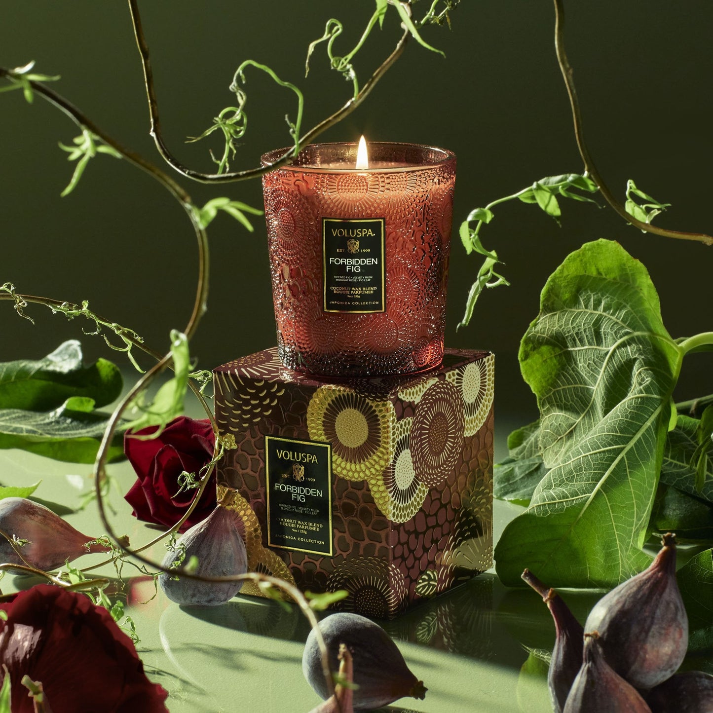 Voluspa : Forbidden Fig Candle