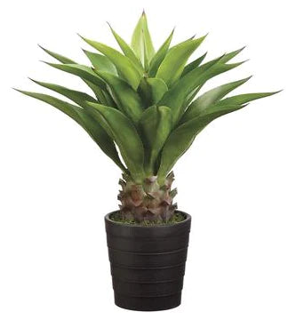 Faux Agave Stem