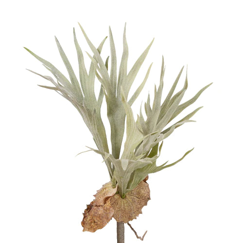 Faux Flocked Staghorn Fern Stem