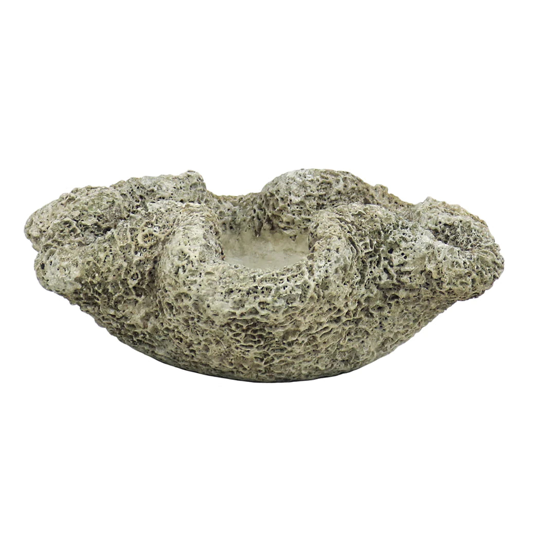 Reef Planter