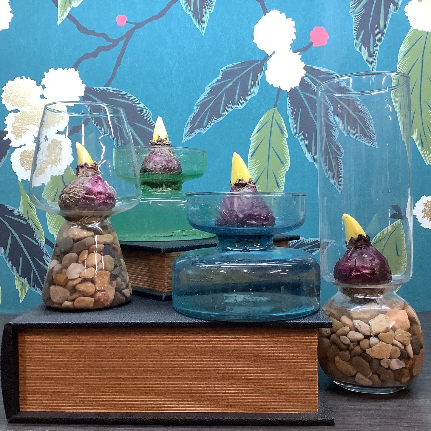 Spring bulb
