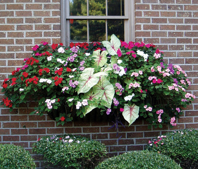 Heavy Duty Hanging Planter