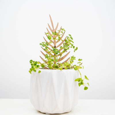 Wooden Leaf Plant Trellis