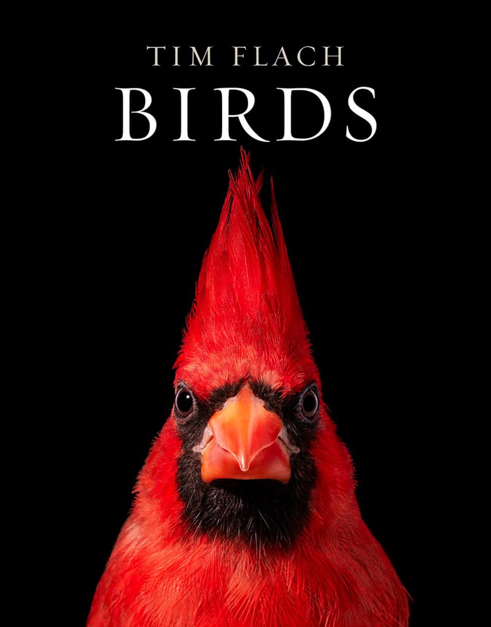 Birds by Flach