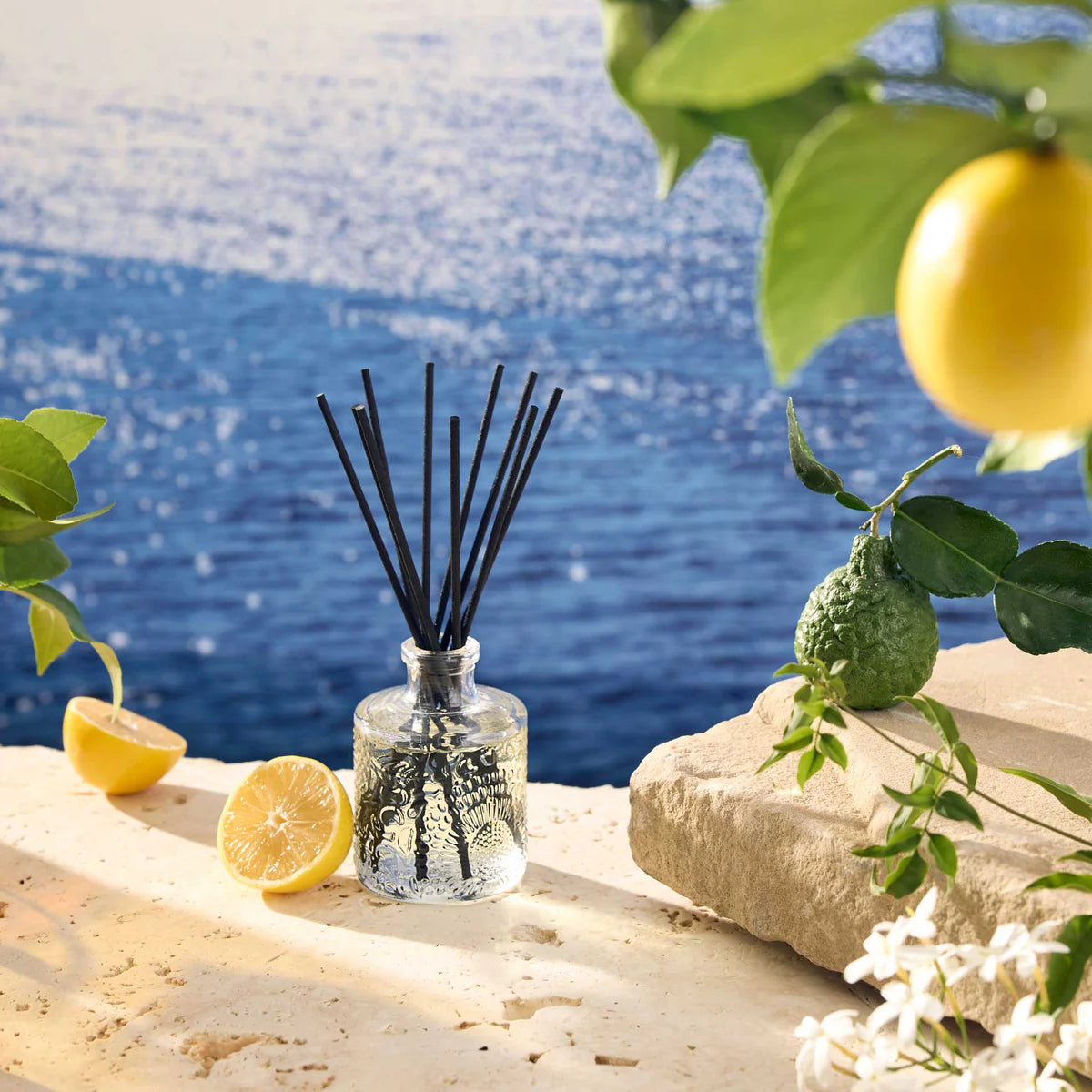 Voluspa : Mediterranean Lemon Diffuser