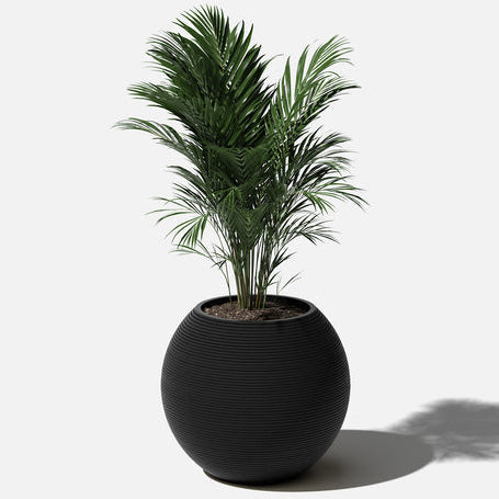 Spherical Planter