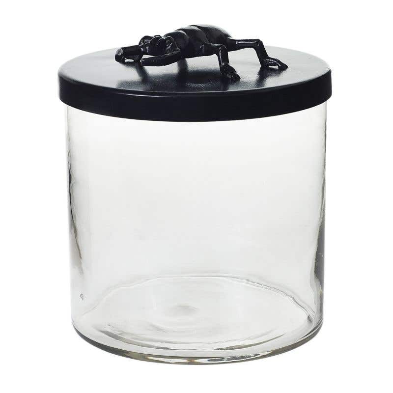 Ento Canister/Terrarium