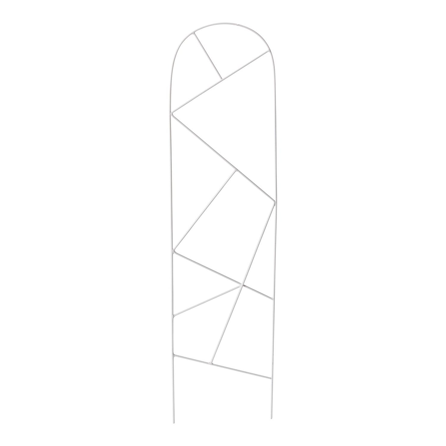 Daxton Trellis