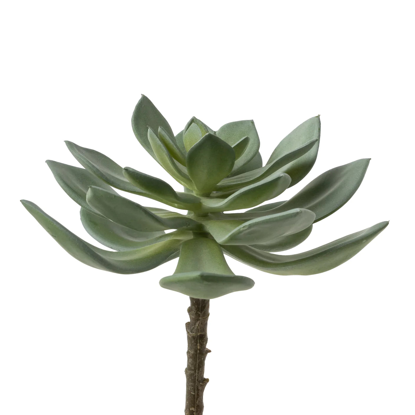 Faux Echeveria Stem