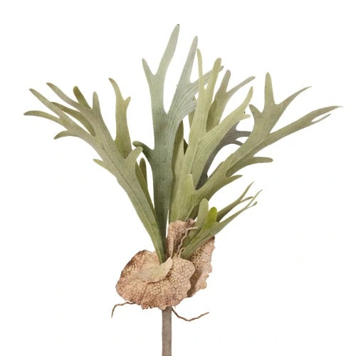 Faux Flocked Staghorn Fern Stem