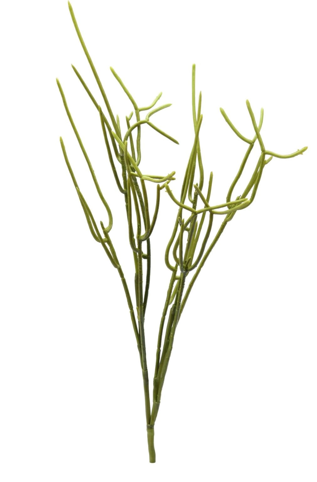 faux pencil cactus Faux Pencil Cactus Stem