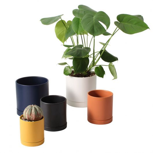 Sorvino Pot
