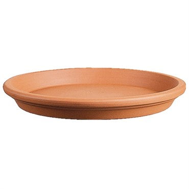 Patio Terracotta
