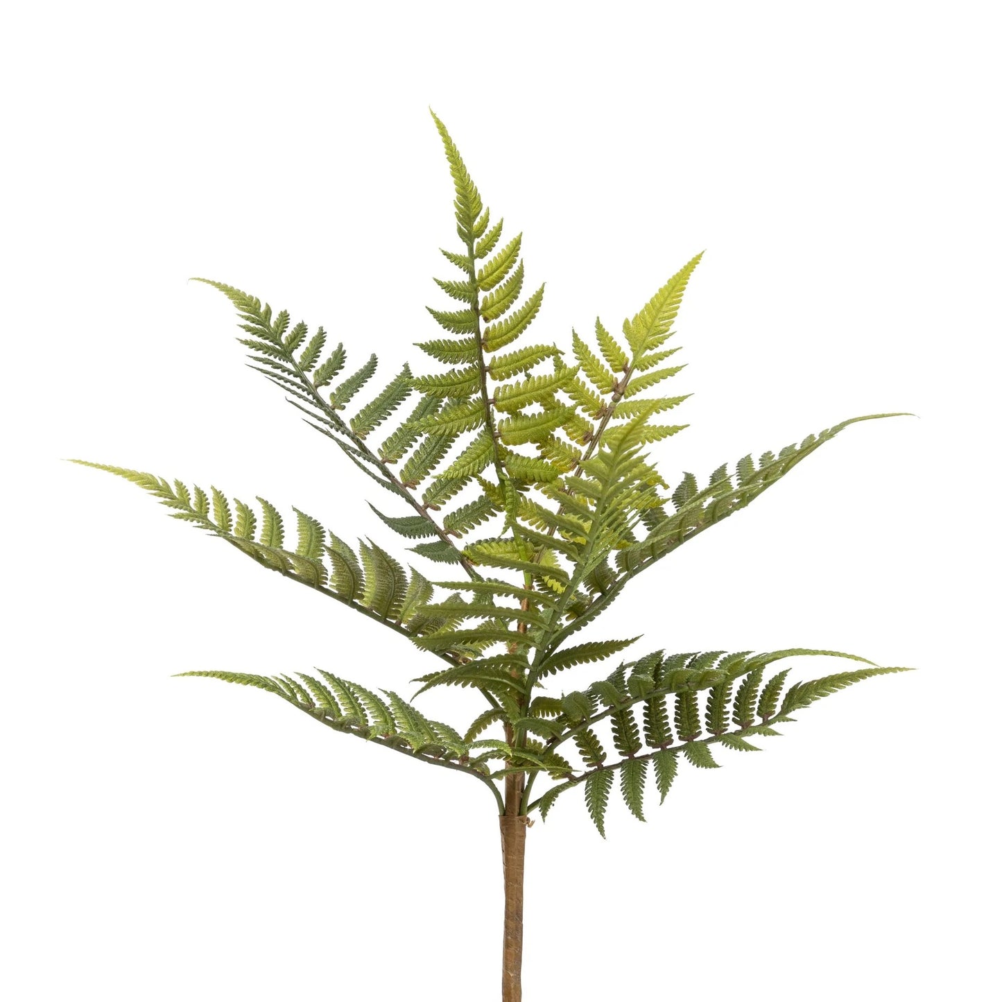 Faux Fern Stem