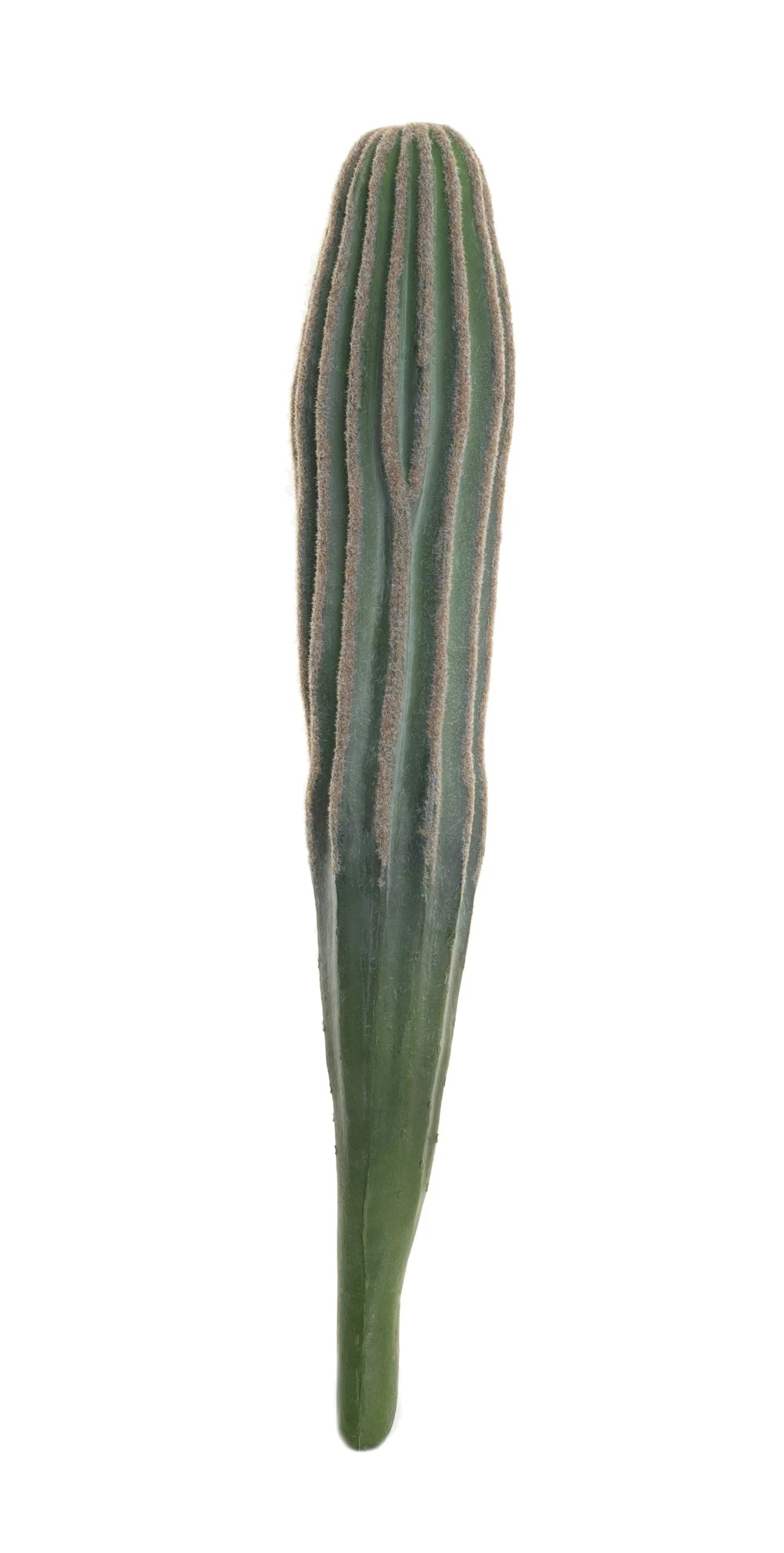 Faux Cereus Cactus Stem