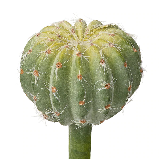 Faux Ball Cactus Stem