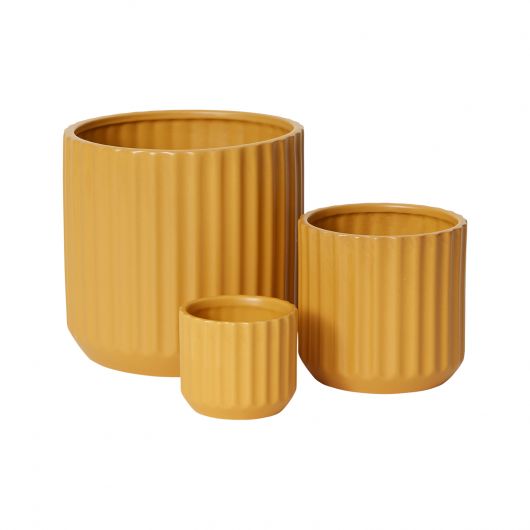 Sunnyside Pot