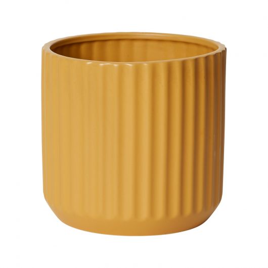 Sunnyside Pot