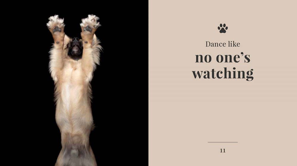 Wisdom Of Dogs:  The Adorable And Funny New Book