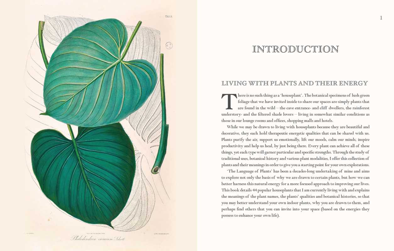 Language of Houseplants by Cheralyn Darcey