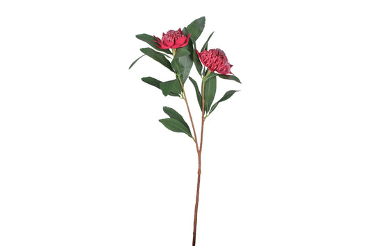 Faux Waratah Flower Stem