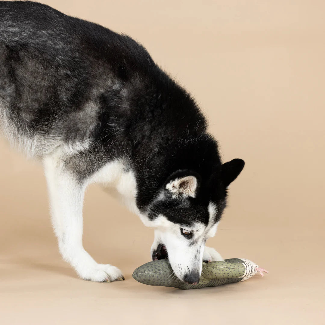 Pet Shop - Large Dog Toy