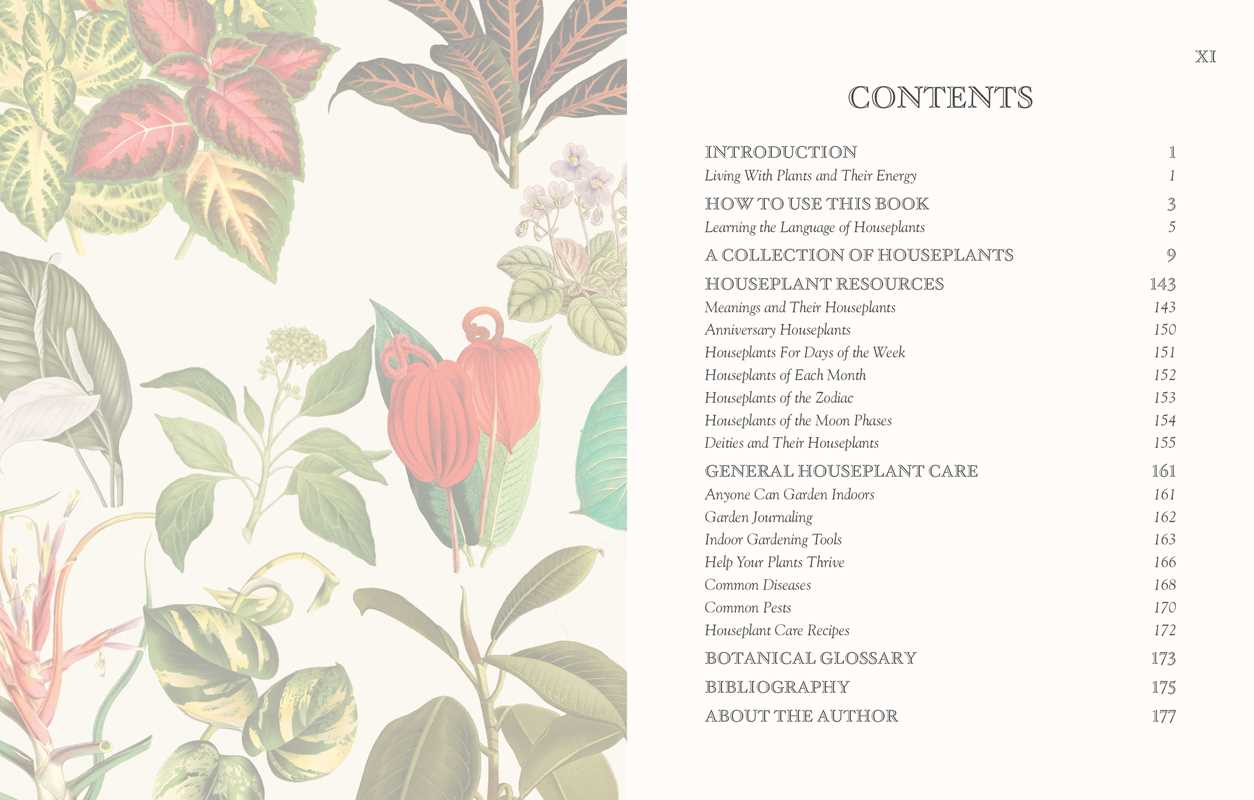 Language of Houseplants by Cheralyn Darcey