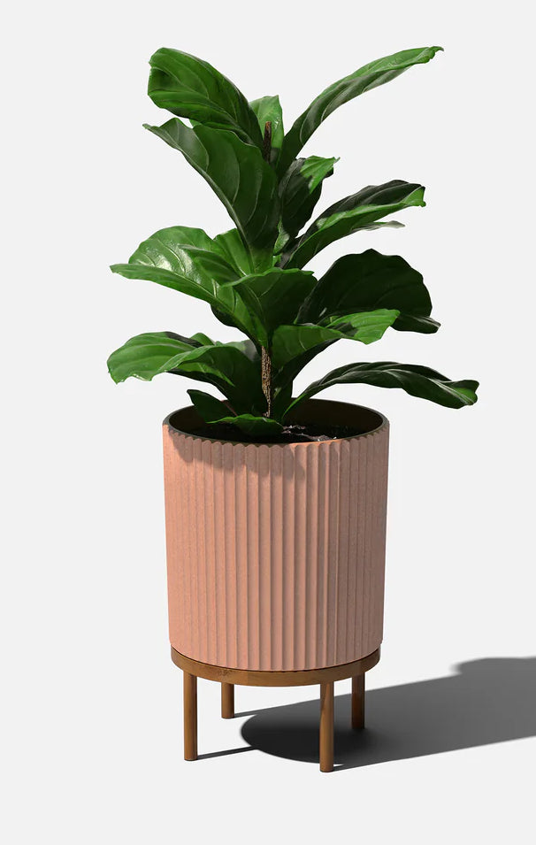 Damon Stand Planter