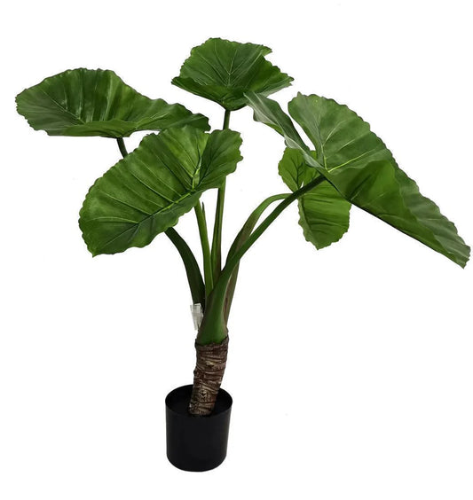 Faux Taro Plant