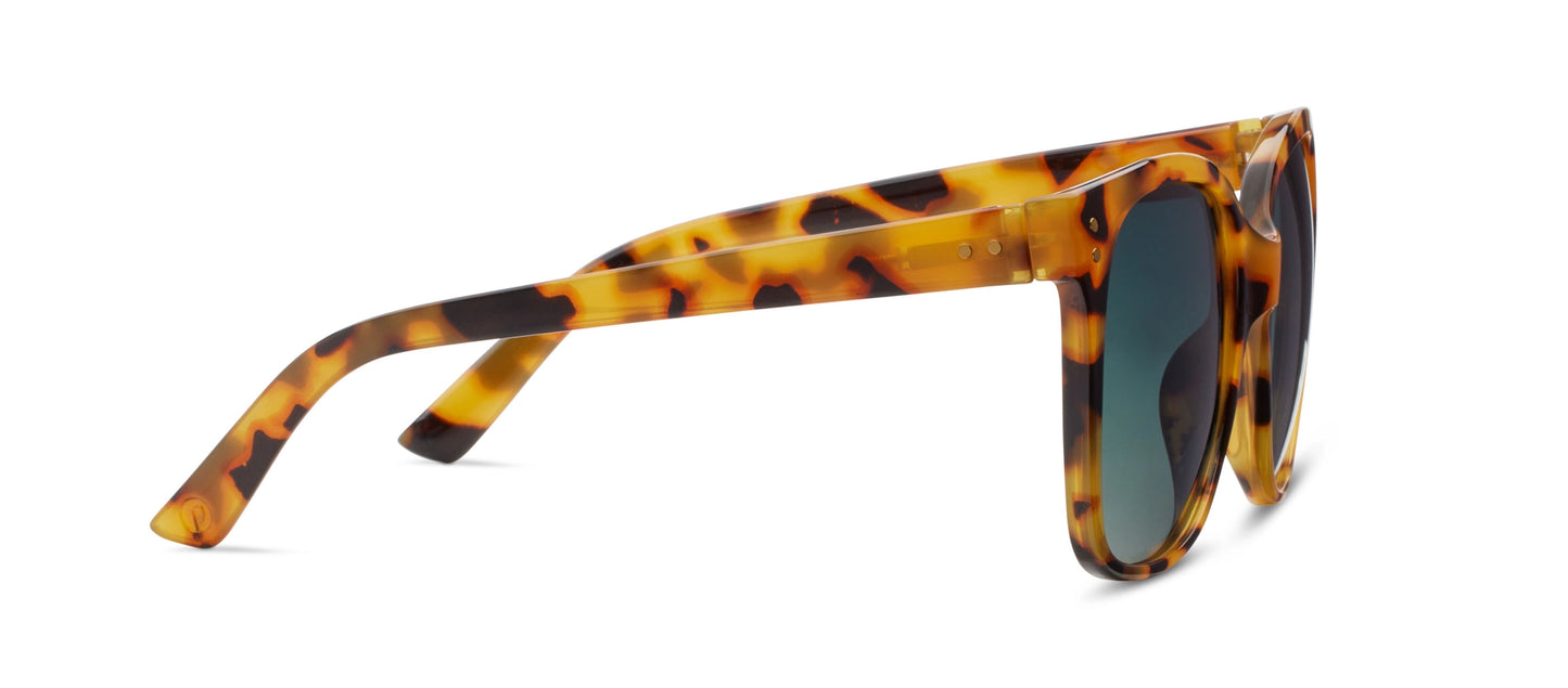 Poolside (Sunglasses)