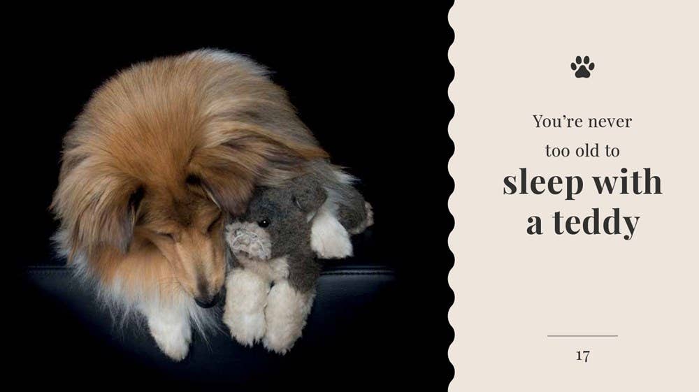 Wisdom Of Dogs:  The Adorable And Funny New Book